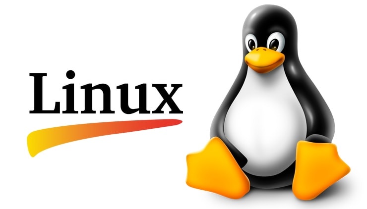 Linux Rename a File, Folder or Directory Cover