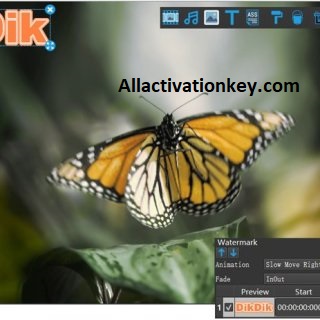 DikDik Crack Download